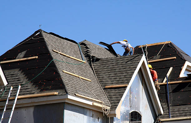 Best Roof Gutter Cleaning  in Caledonia, MI