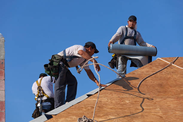 Residential Roof Replacement in Caledonia, MI